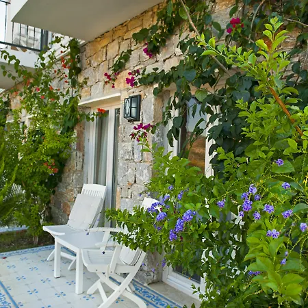 Szálloda Swan - Adult Only