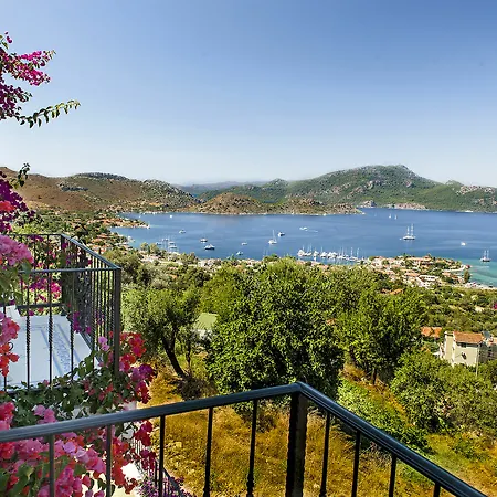 Swan - Adult Only 2*