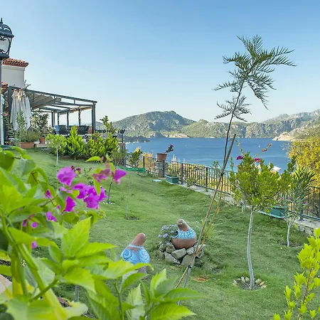 Swan - Adult Only Szálloda 2*