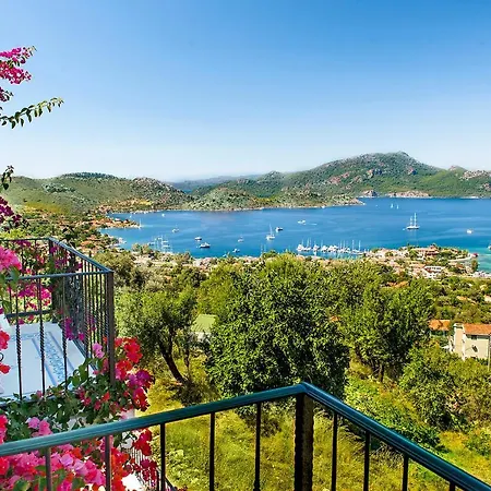 Swan - Adult Only Selimiye