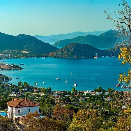 Szálloda Swan - Adult Only 2*