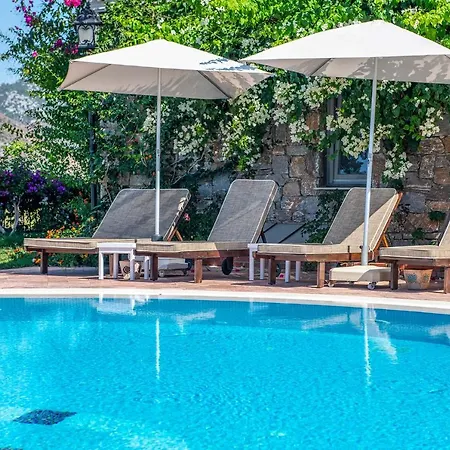 Szálloda Swan - Adult Only 2*