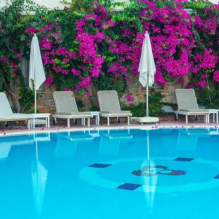 Hotell Swan - Adult Only Selimiye (Aegean)