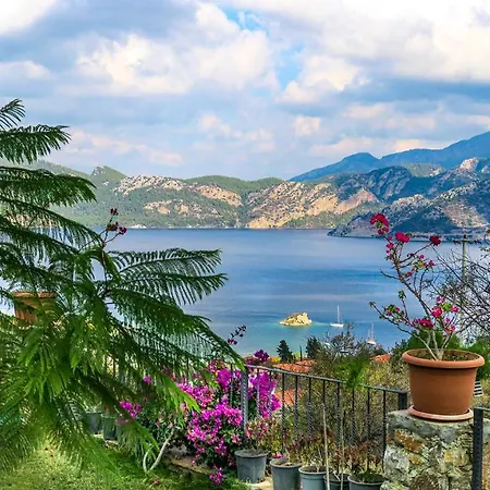 Szálloda Swan - Adult Only 2*