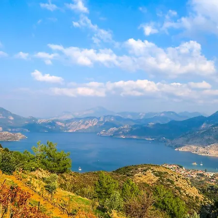 Swan - Adult Only Szálloda 2*