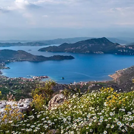 Szálloda Swan - Adult Only