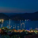 Swan - Adult Only