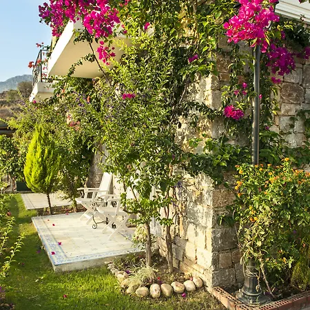 Swan - Adult Only 2* Selimiye (Aegean)