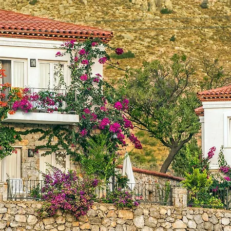 Swan - Adult Only 2* セリミエ