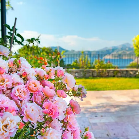 Swan - Adult Only ホテル