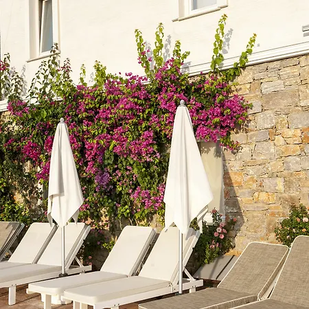 Hotel Swan - Adult Only