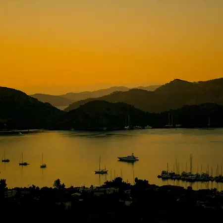 Swan - Adult Only 2*