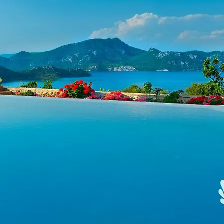 Swan - Adult Only 2* セリミエ