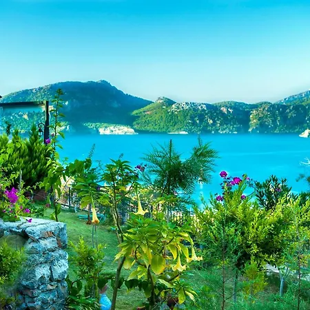 Swan - Adult Only セリミエ