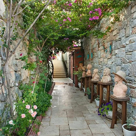 Swan - Adult Only 2* Selimiye
