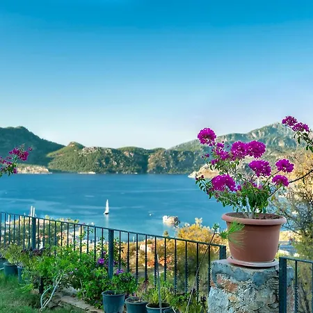 Hotel Swan - Adult Only