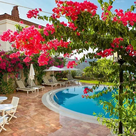 Swan - Adult Only 2* Selimiye