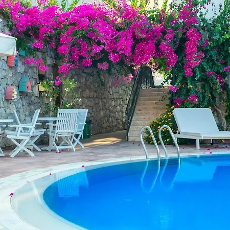 Swan - Adult Only Hotel