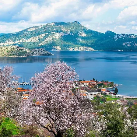 Swan - Adult Only ホテル 2*