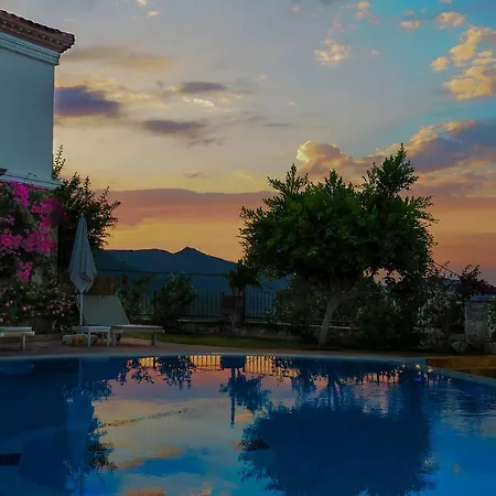 Swan - Adult Only 2*