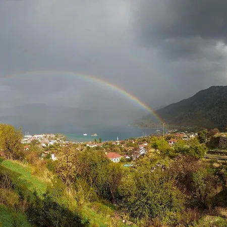 Swan - Adult Only 2* セリミエ