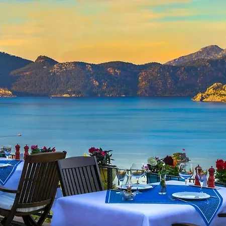 Swan - Adult Only 2*