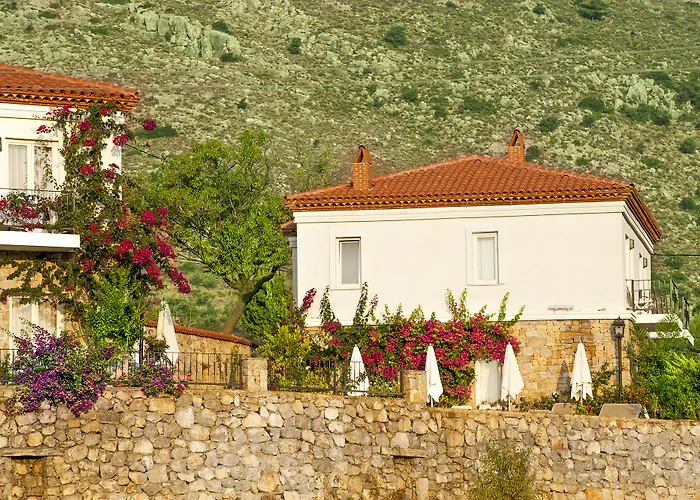 Swan - Sadece Yetişkin