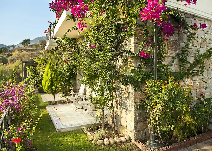 Swan - Adult Only 2* Selimiye (Aegean)