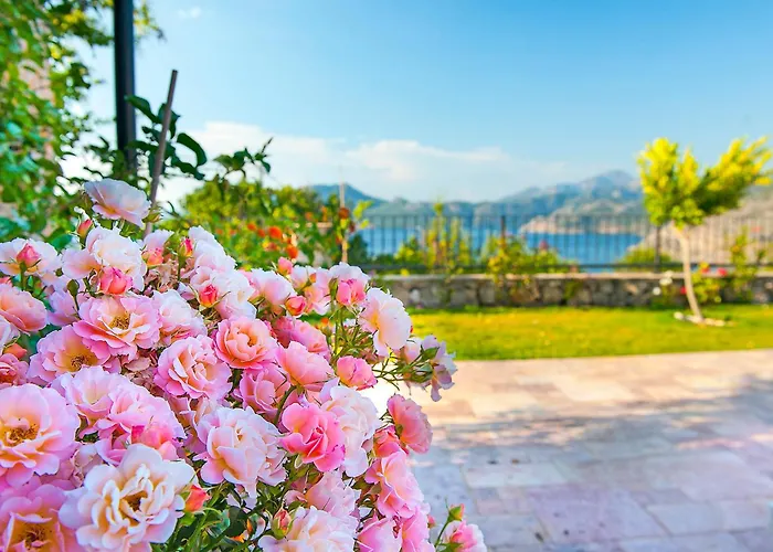 Swan - Sadece Yetişkin Otel