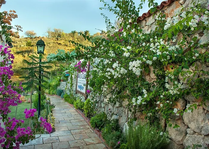 Swan - Sadece Yetişkin 2*