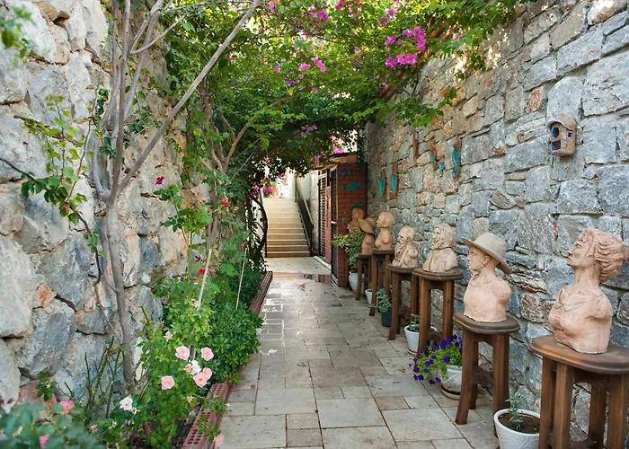 Swan - Adult Only 2* Selimiye (Aegean)