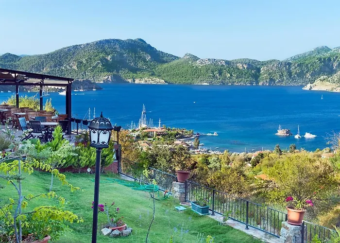 Swan - Adult Only 2*