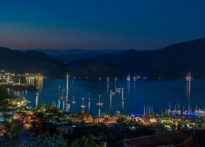 Swan - Sadece Yetişkin