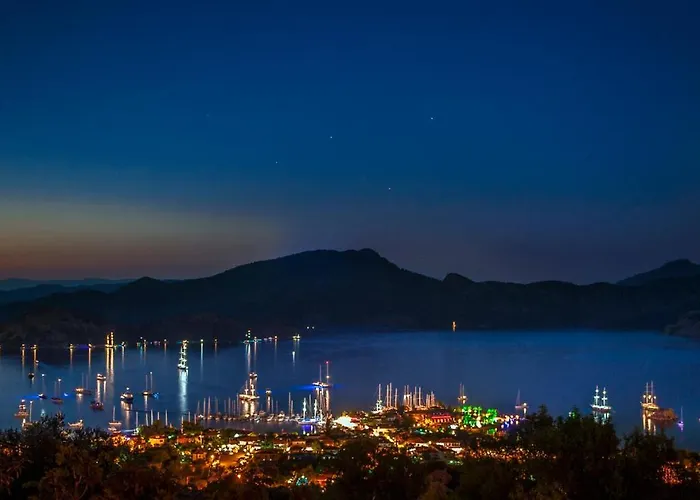 Hotel Swan - Adult Only