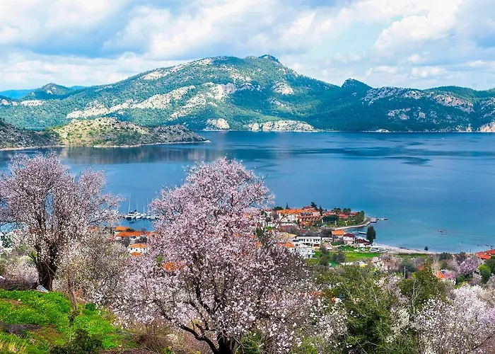 Swan - Sadece Yetişkin Otel 2*