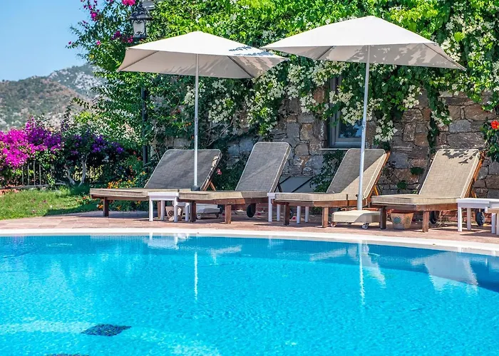 Hotel Swan - Adult Only 2*