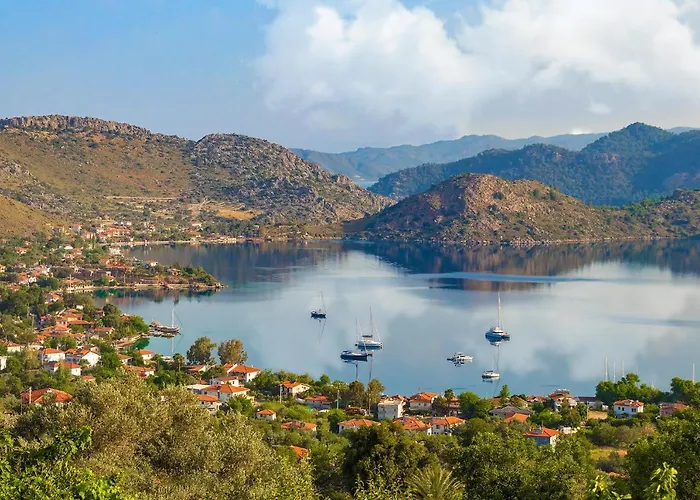 Swan - Sadece Yetişkin 2*