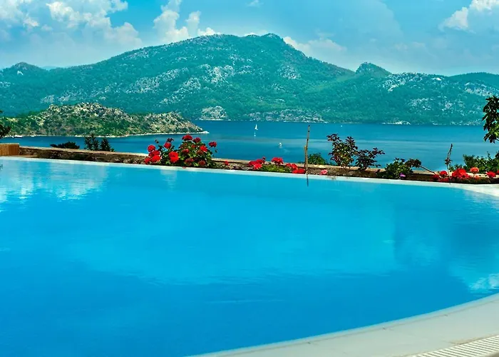 Swan - Sadece Yetişkin 2*