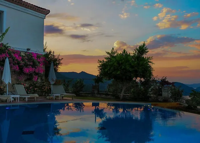 Swan - Sadece Yetişkin 2*