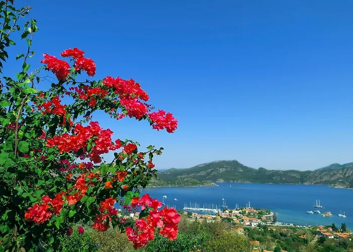 Swan - Sadece Yetişkin