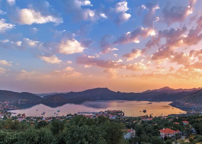 Swan - Sadece Yetişkin