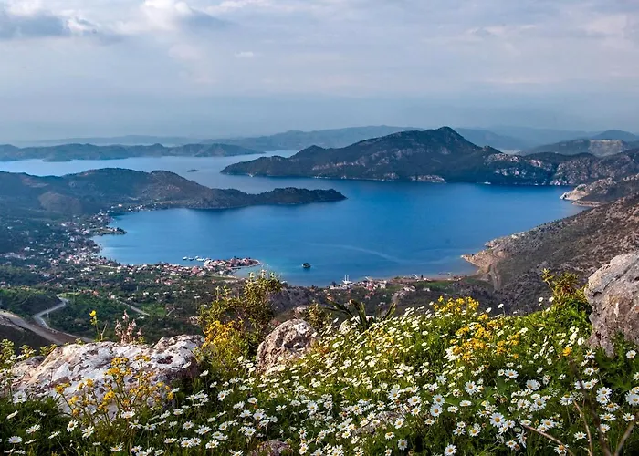 Hotel Swan - Adult Only