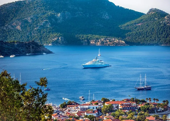 Swan - Sadece Yetişkin