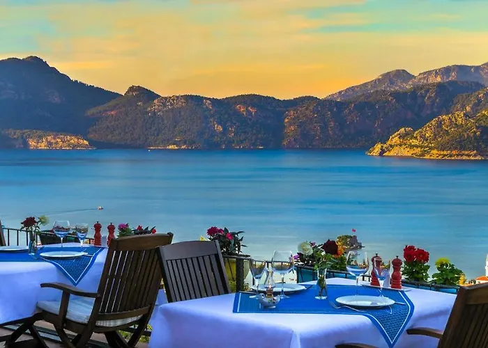 Swan - Sadece Yetişkin 2*